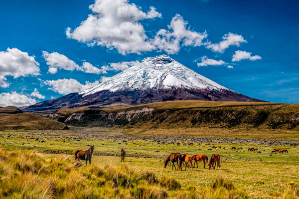 Museo del Banco Central